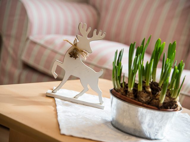 tannenheim stubai at 20